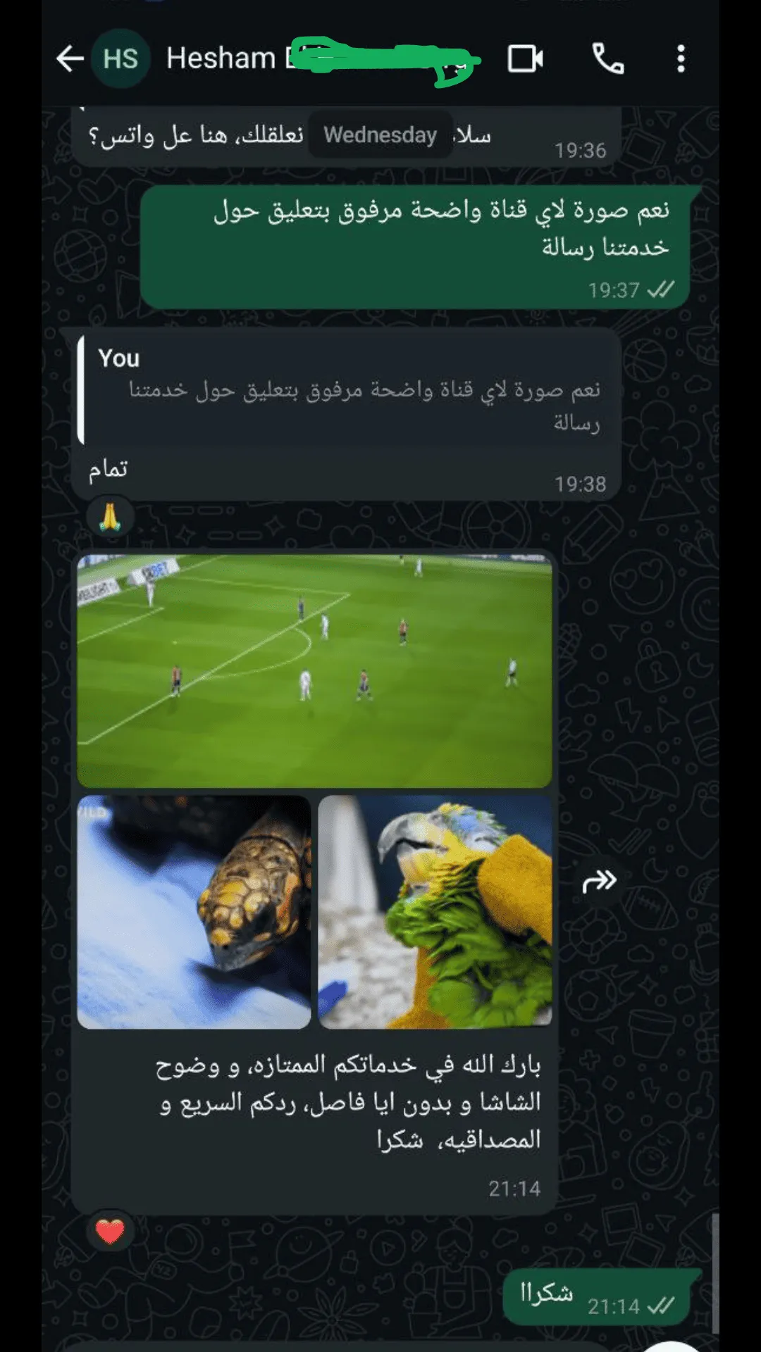 iptv arab